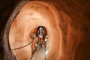 BIB: 
                            <button type="button" onclick="openModal(26242691)" class="btn btn-primary btn-sm float-right btn-popup" data-toggle="modal" data-target=".modal-high-quality">
                        <i class="fas fa-shopping-cart"></i> Add to Cart
                    </button>
                                            <button type="button" onclick="isThisMe(26242691, true)" class="btn btn-success btn-sm float-right btn-popup btn-isme hidden" data-toggle="tooltip" data-placement="bottom" title="นี่คือรูปของคุณใช่ไหม คลิกที่นี่เพื่อเอาเข้าอัลบั้ม">
                        <i class="fas fa-plus"></i> Add to album
                    </button>
                    <button type="button" onclick="isThisMe(26242691, false)" class="btn btn-warning btn-sm float-right btn-popup btn-isnotme hidden">
                        <i class="fas fa-ban"></i> Remove from album
                    </button>